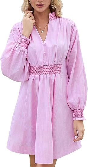 Embroidered V Neck A Line Mini Dress