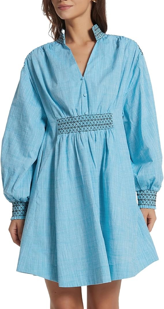 Embroidered V Neck A Line Mini Dress