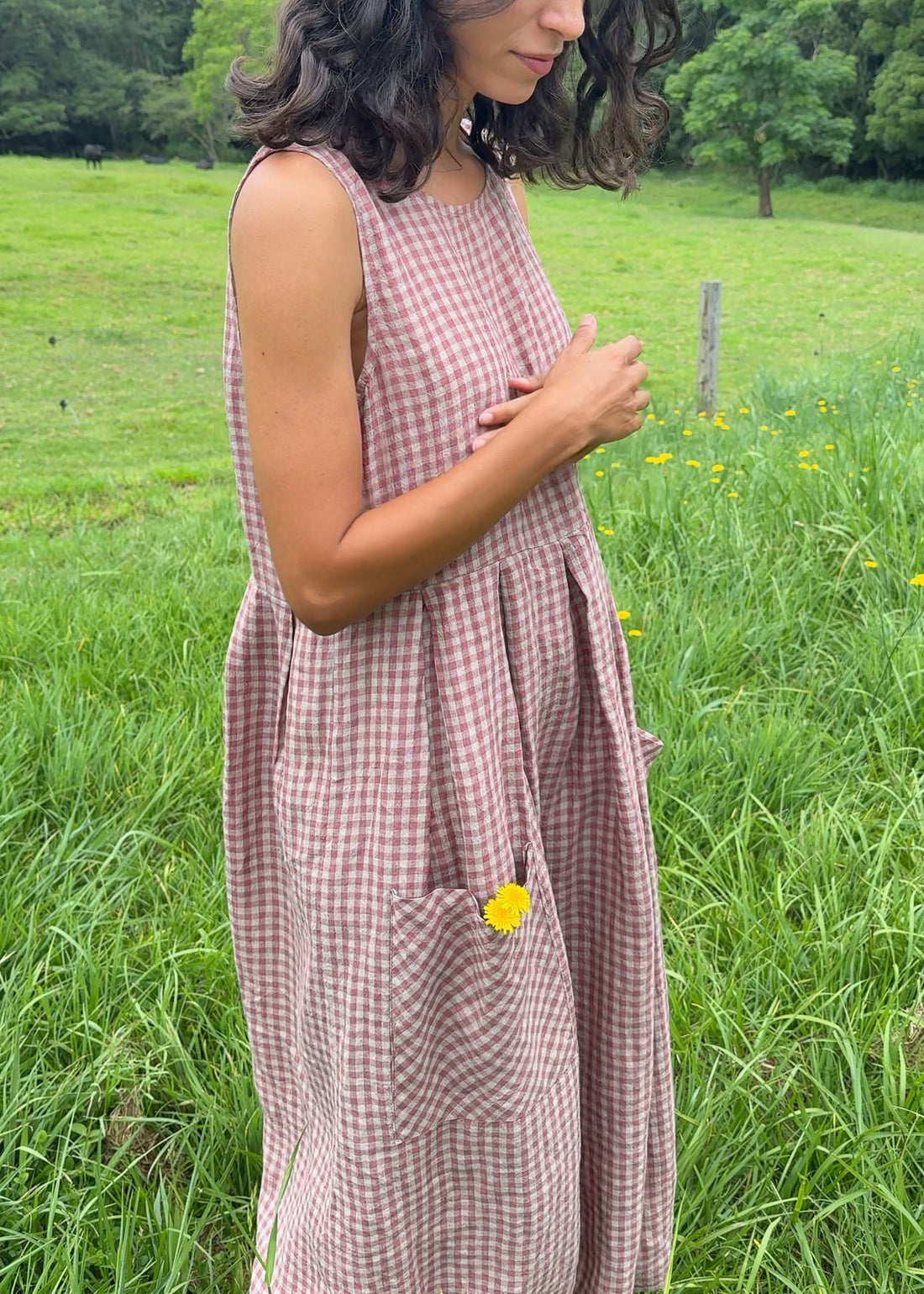 Sartene French Linen Dress in Gingham